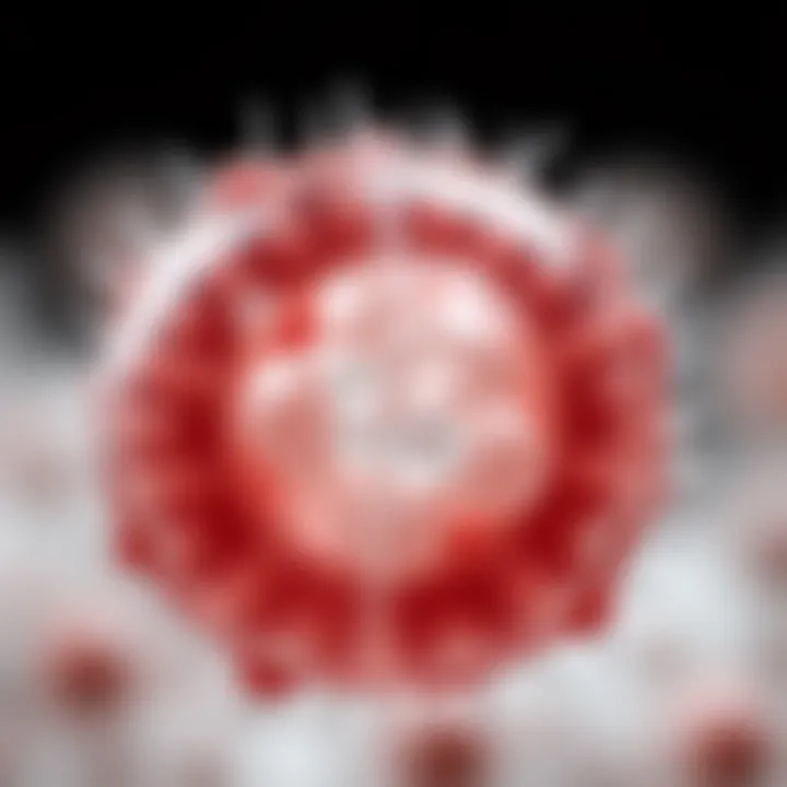 Binary Fission in Protozoan Organisms Microscopic view showing protozoa undergoing binary fission division