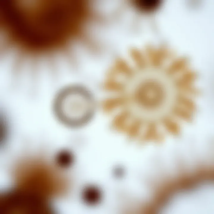 Examples of microorganisms that reproduce through binary fission under a microscope