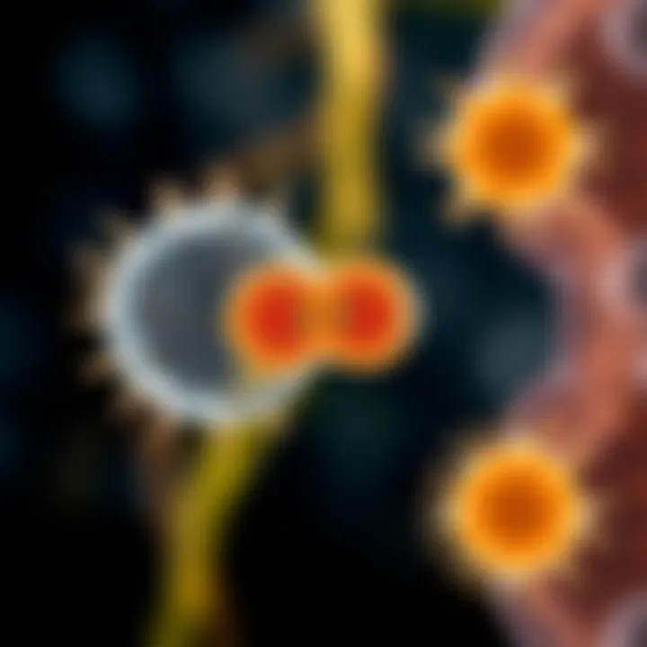 Comparison illustration showing binary fission alongside other reproduction methods in microorganisms